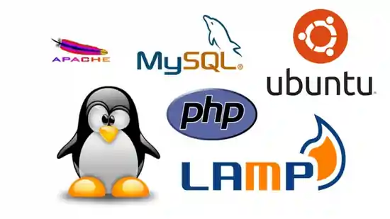 Lamp Stack Development Services