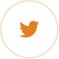 twitter icon